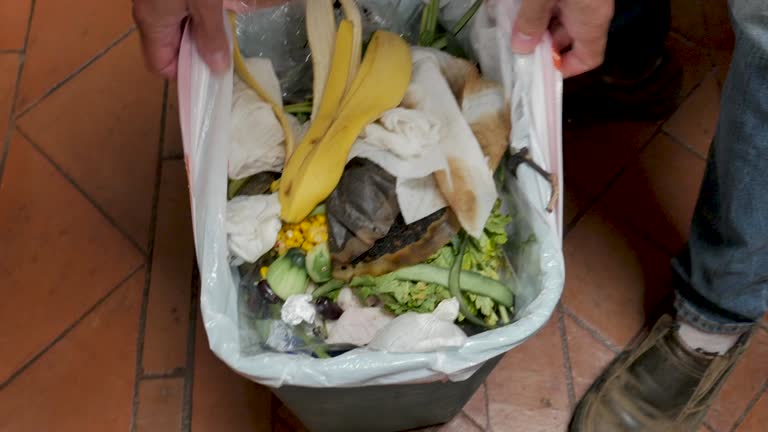 Best Yard Waste Removal  in Monticello, MN
